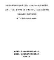 山東祥東新材料科技有限公司1.2萬噸/年6-叔丁基鄰甲(60K)、4-叔丁基鄰甲酚(偏 24 酚)和 4，6-二叔丁基鄰甲酚(偏 246 酚)烷基甲酚項目竣工環(huán)境保護(hù)驗收監(jiān)測報告